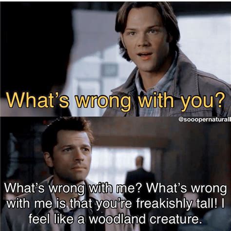30 Funny Supernatural Memes To Brighten Your Day The Xo Factor