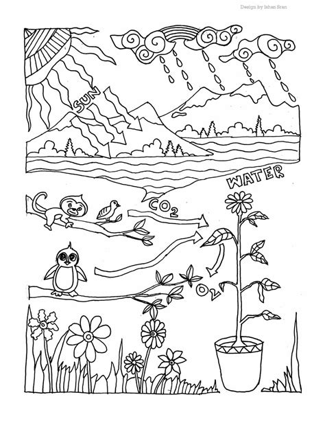 biology coloring pages science fest