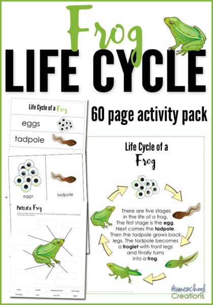 frog life cycle printables
