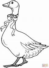 Goose Oca Gans Ausmalbild Geese Schleife Halsband Bel Fiocco Oche Gallinas Malvorlage Anatra Gänse Dibujando Supercoloring Bordados Animali sketch template