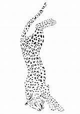 Cheetah Hunt Coloring Print Parentune Child sketch template