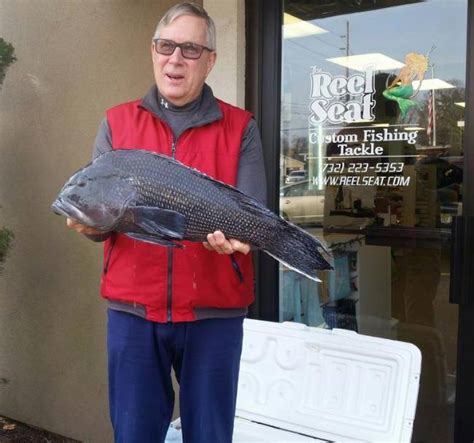 Record Black Sea Bass Caught Over The Weekend On The Water