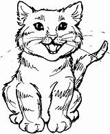 Gato Cats Colouring sketch template