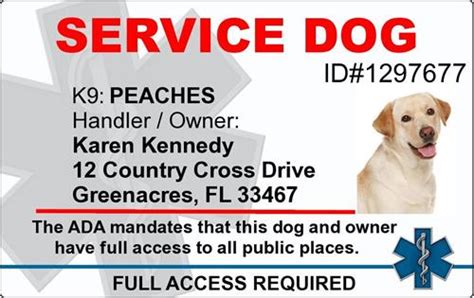 working service dog  printable emergency medical id card