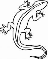 Reptile Reptiles Drawing Coloring Pages Getdrawings sketch template