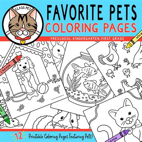 favorite pets coloring pages preschool kindergarten  grade
