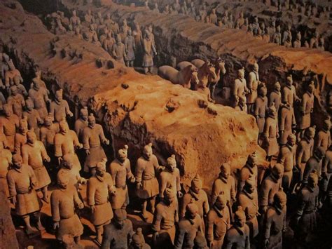 kids  education uncovering  terracotta warriors
