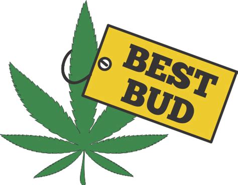 bud