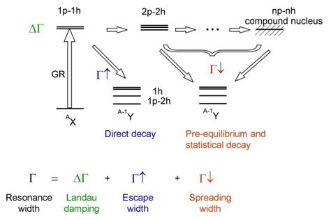 schematic illustration   decay mechanisms contributing   scientific