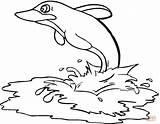 Coloring Dolphin Sea Pages Clipart Drawing Cliparts sketch template