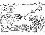 Coloring Fish Pages Puffer Habitat Arctic Sea Pufferfish Tuna Color Drawing Ocean Getcolorings Getdrawings Designlooter Nathan Loveland Johnson Wonderful Kim sketch template