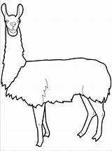 Itl Llama sketch template