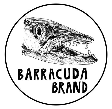barracuda runaround colorblock barracuda brand