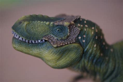 dino dinosaurie tyrannosaurus rex gratis foto pa pixabay pixabay