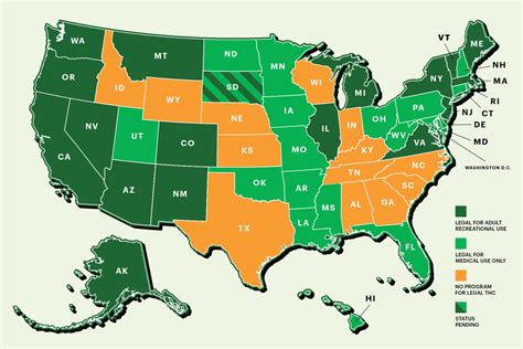 cannabis friendly  states edm chicago