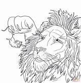 Lion Mouse Coloring Pages Big Tiny Caught Printable Clip Super Drawings Drawing Color Adult Books Kids sketch template