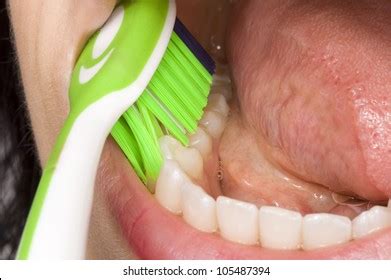 correct  tooth brush perfect oral stock photo  shutterstock