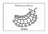 Cienpies Bichos Ciempies Insectos Ciempiés Escuelaenlanube 방문 Aula sketch template