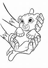 Coloring Lion Simba King Pages Baby Printable Animal Introducing Kingdom sketch template