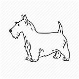 Dog Scottie Drawing Terrier Icon Sketch Scottish Boston Mammal Paintingvalley Getdrawings Canidae Drawings Library sketch template