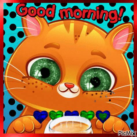 happy kitty good morning animation pictures   images  facebook tumblr pinterest