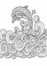 Dolphin Mindfulness Colouring Dolphins sketch template