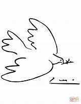 Coloring Picasso Dove Peace Pages Drawing Original Super Printable sketch template