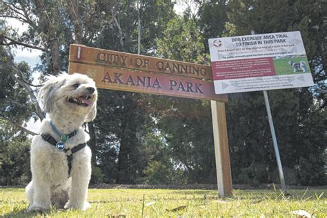city approves extra dog parks  local examiner