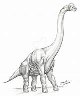 Brachiosaurus Dinosaurs Dinosaur Dinosaurios Colossal Dibujos Realistas Dinosaurio sketch template