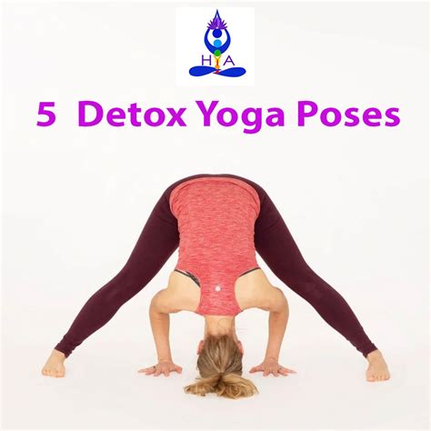 effective detox yoga poses learn yoga poses  health nepal