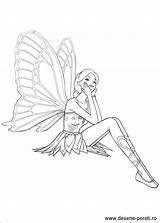 Mariposa Colorat Planse Coloring Desene Fairies sketch template