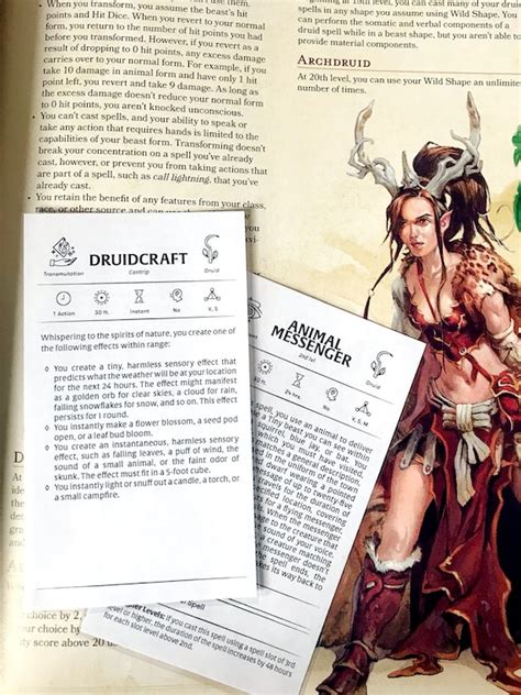 custom druid spell cards dungeons and dragons dnd 5e etsy