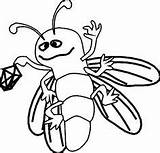 Firefly Coloring Drawing Pages Color Insect Getdrawings Getcolorings Lantern Holding Beautiful Clipartmag Visit Kids sketch template