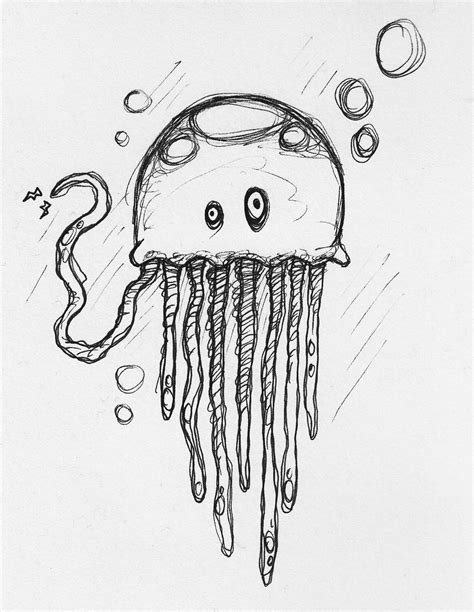 jellyfish drawing   draw  jellyfish drawingforallnet