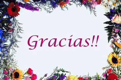 images  muchas gracias  pinterest animales amor  gifs