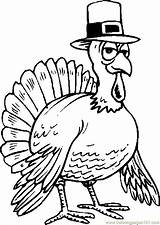 Turkey Coloring Thanksgiving Pages Hat Wearing Color Turkeys Printable Cartoon Dinner Clipart Printables Kids Drawing Cliparts Holidays Book Fun Coloringpages101 sketch template