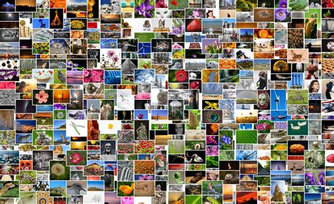 kostenlose foto bunt fotos kunst mosaik foto vielfalt collage