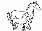 Colorare Cavalli Cavallo Disegno Lusso sketch template