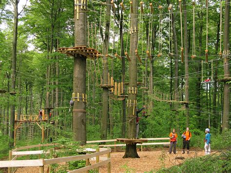 climbing forest im kletterwald kassel die ersten gehvers flickr