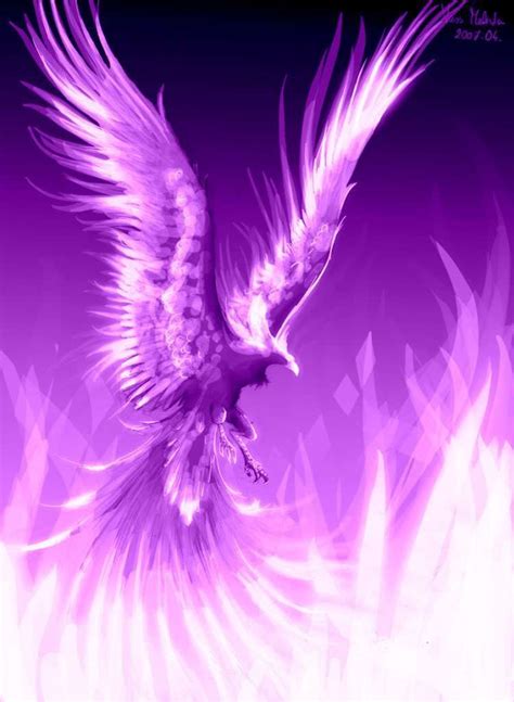 inspirational phoenix artwork phoenix bird art phoenix