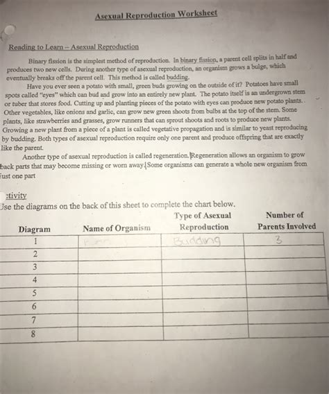 Overview Cell Reproduction Worksheet Answers Worksheet List