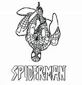Coloring Spider Man Spiderman Pages Hanging Symbol Reverse Logo Pdf Templates Color Printable Getcolorings Colouring Print sketch template