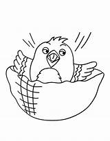 Bird Coloring Pages Canary Lazing Bowl sketch template