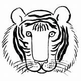 Tiger Coloring Getdrawings Bengal sketch template