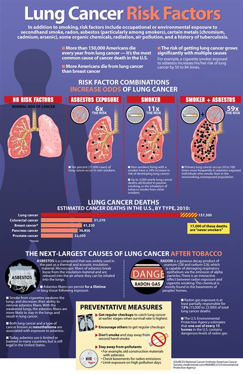 Lung Cancer Risk Factors [infographic] – Infographic List