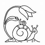 Escargot Escargots Slak Animaux Kleurplaat Lumache Caracol Nil Gifgratis Prend Codes Coloriages Kleurplaten Dona sketch template