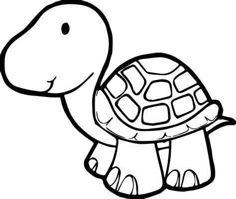 nice  tortoise turtle coloring page turtle coloring pages animal