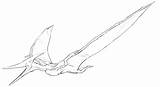 Pteranodon Jurassic sketch template