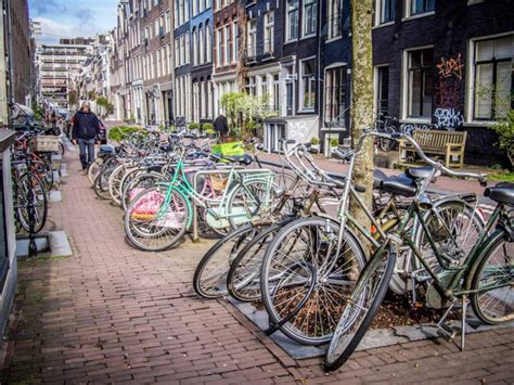quick guide  discovering amsterdam  bike experience transat