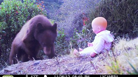 bear eats baby youtube